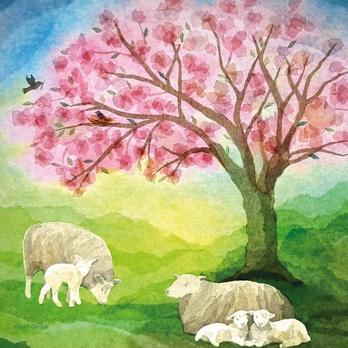 Little Lambs (Vogel Geluk)