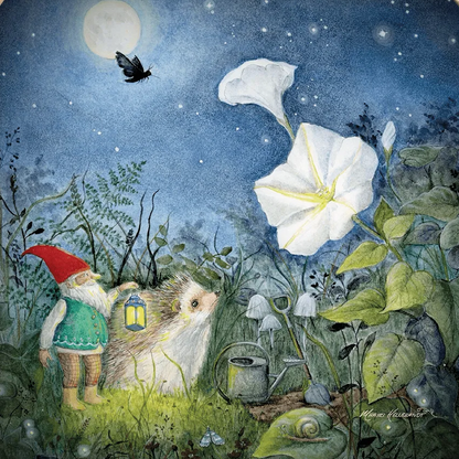 Moonflower (Mhairi Hellbrandt)
