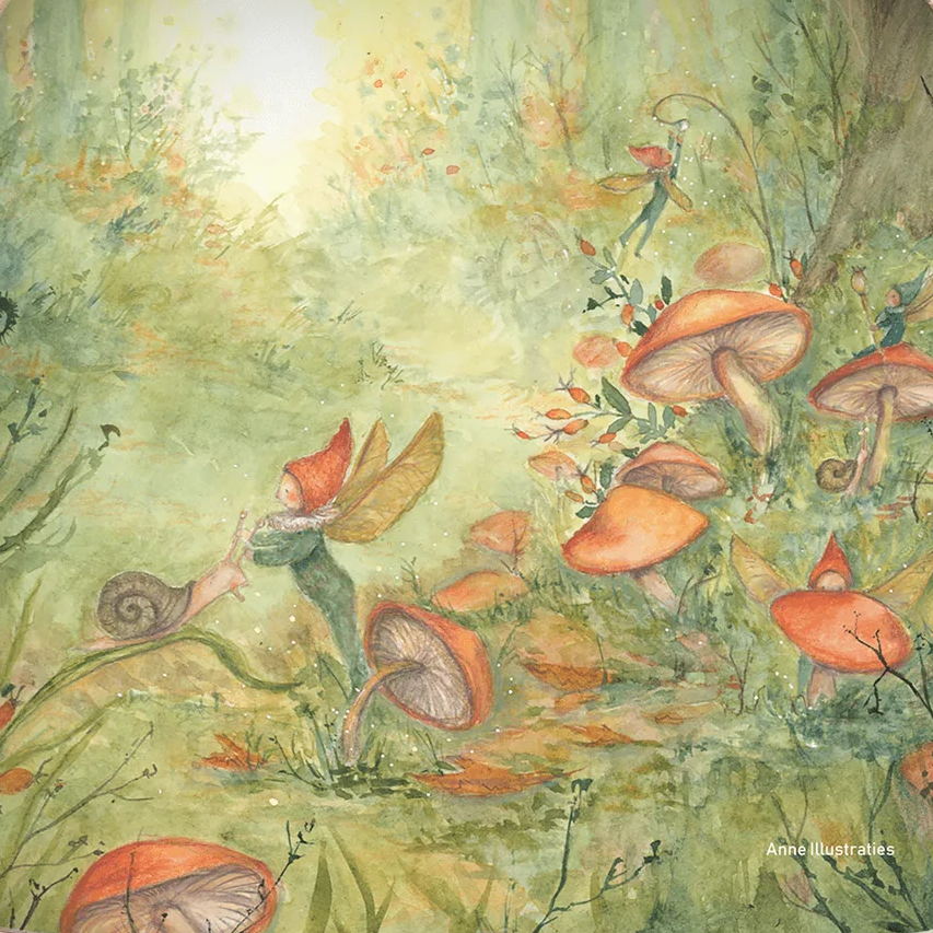 Pixie Forest (Anne Illustraties)