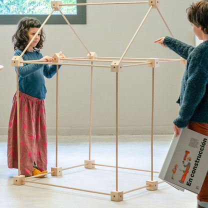 Trigonos KERNEL Arbaro (44 Teile)