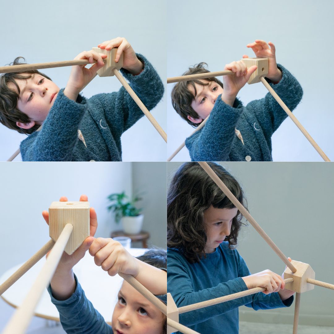 Trigonos KERNEL Arbaro (44 Teile)