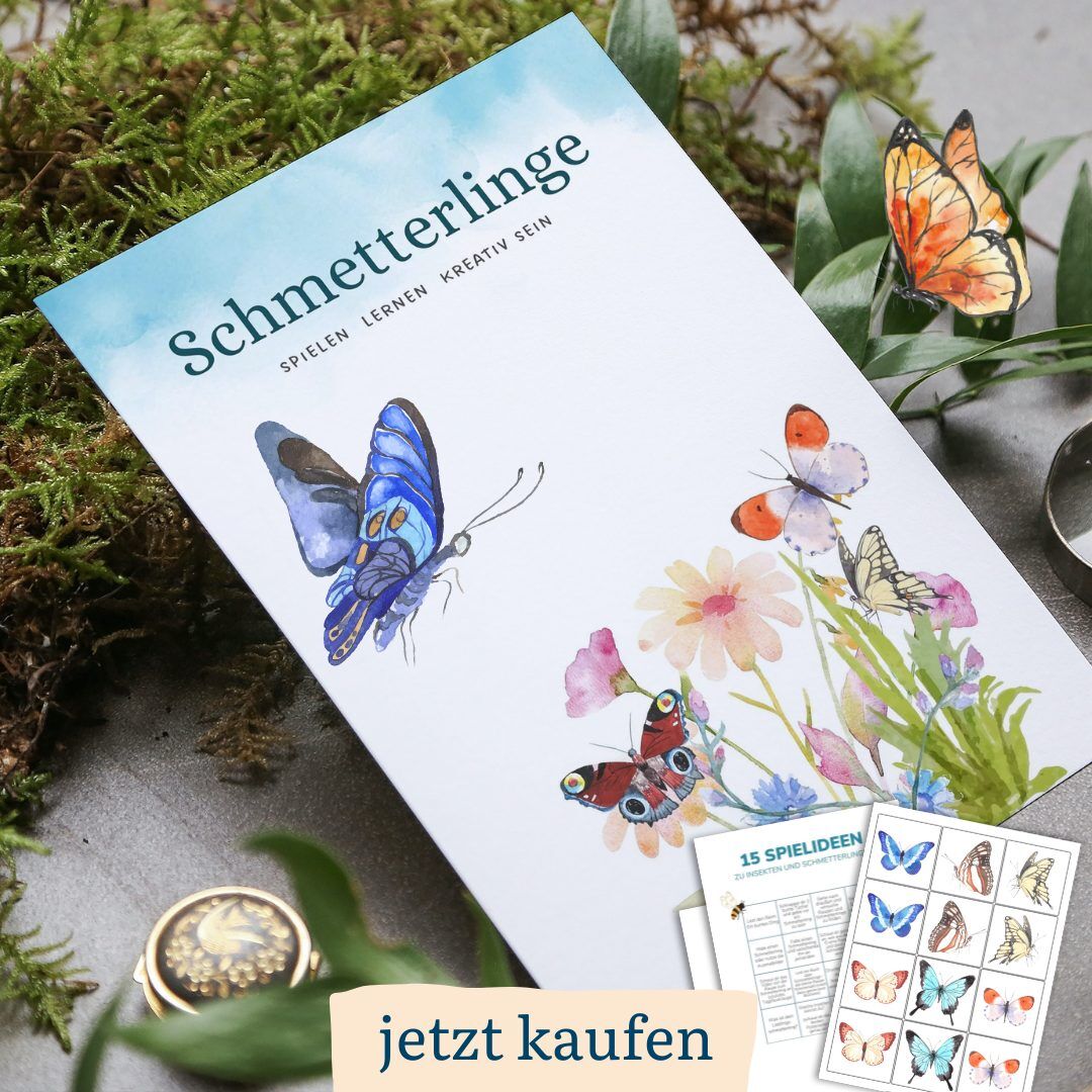 Lebenszyklus eines Schmetterlings mit Kindern verstehen - wie verwandelt sich ein Schmetterling - Kindern erklären  - mit Kindern entdecken