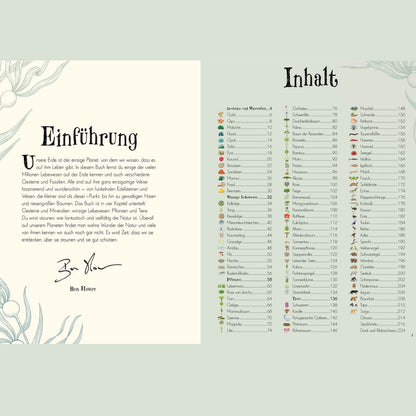 Wundervolle Welt der Natur