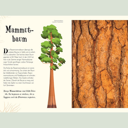 Wundervolle Welt der Natur