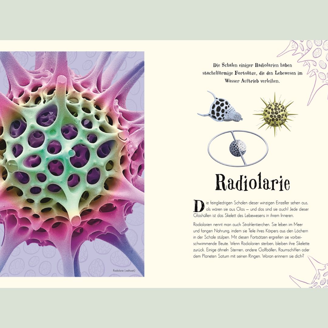 Wundervolle Welt der Natur