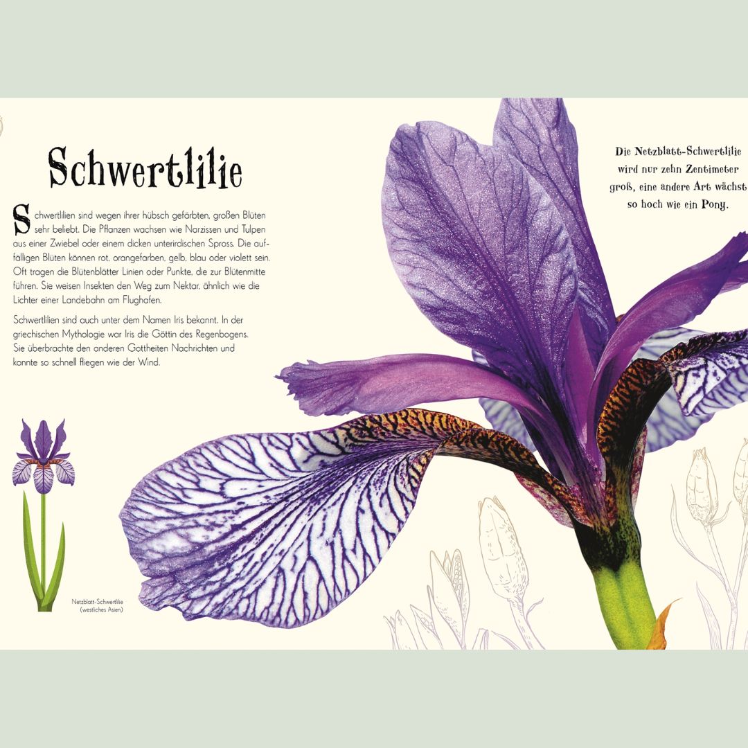 Wundervolle Welt der Natur