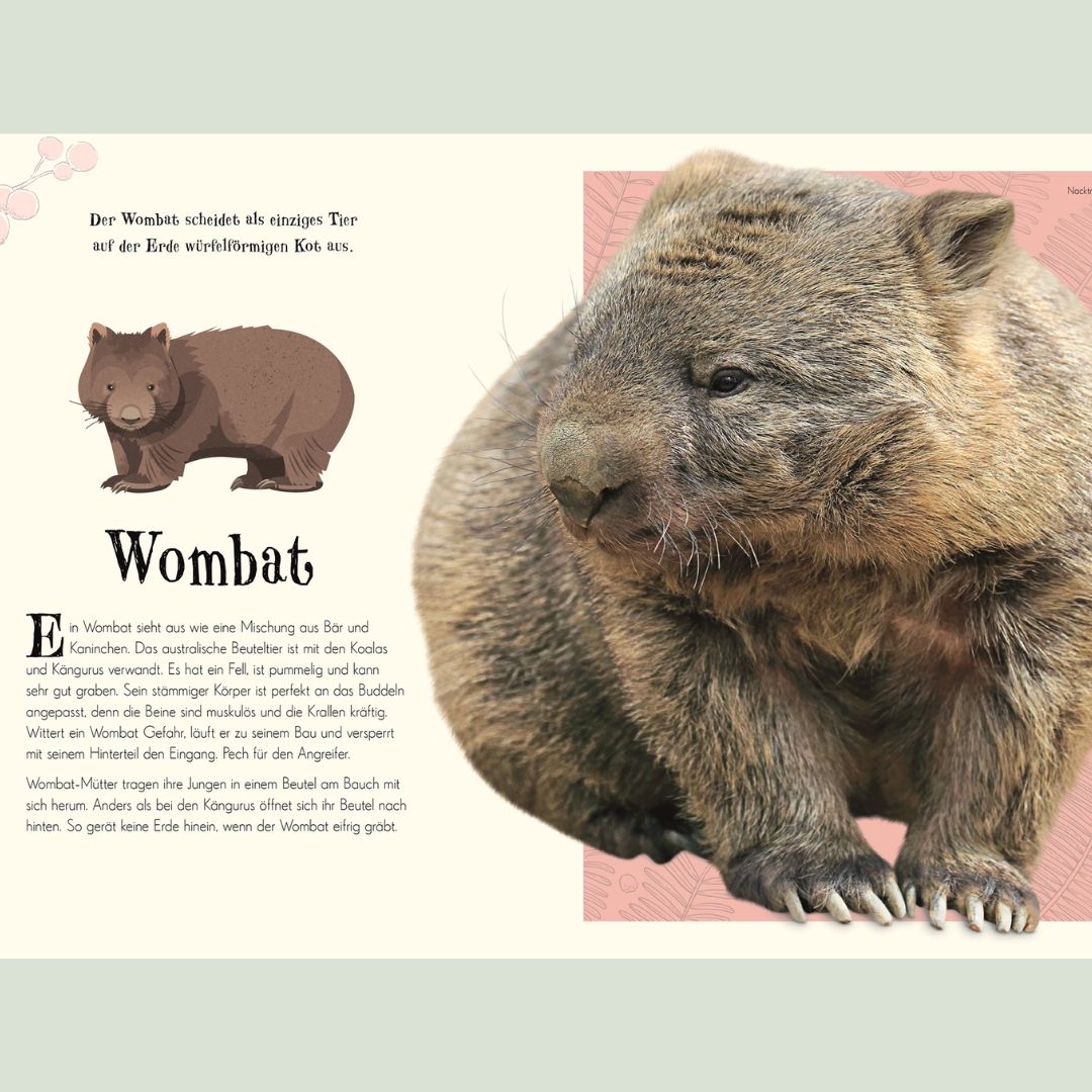 Wundervolle Welt der Natur