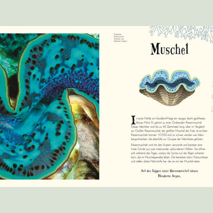 Wundervolle Welt der Natur