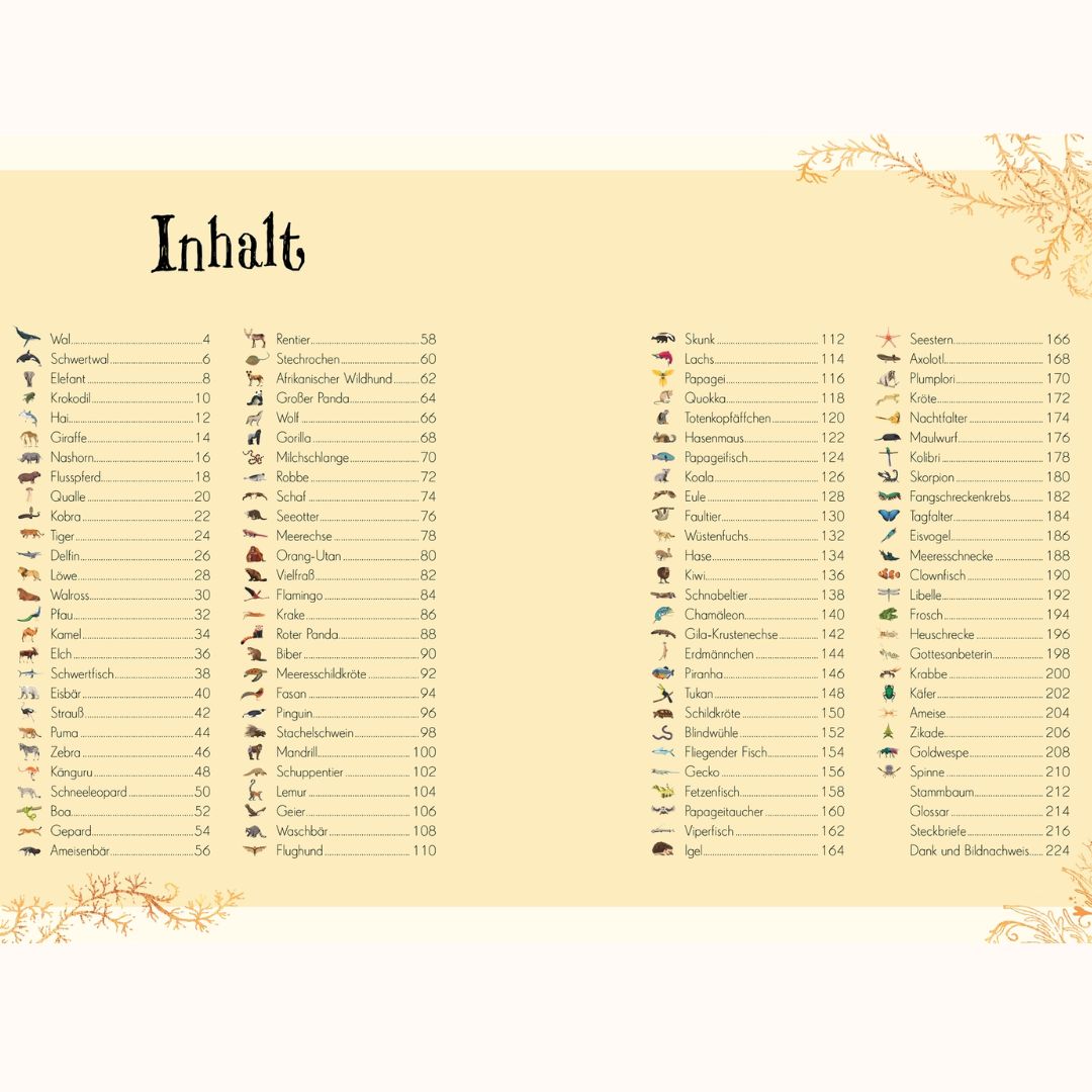 Wundervolle Welt der Tiere