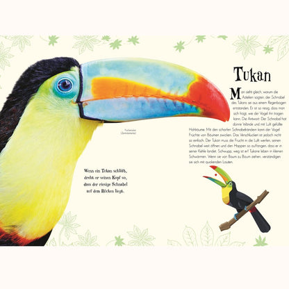 Wundervolle Welt der Tiere