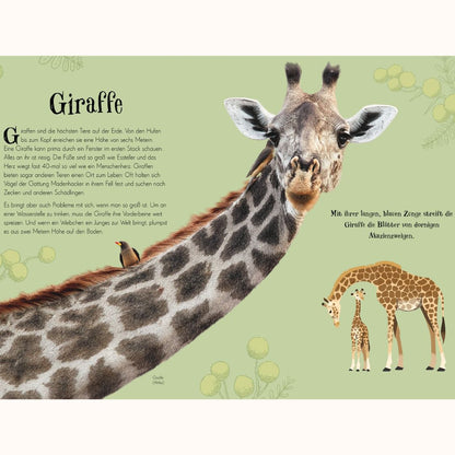 Wundervolle Welt der Tiere