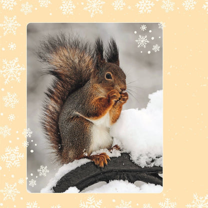 Wundervolle Welt. Adventskalender