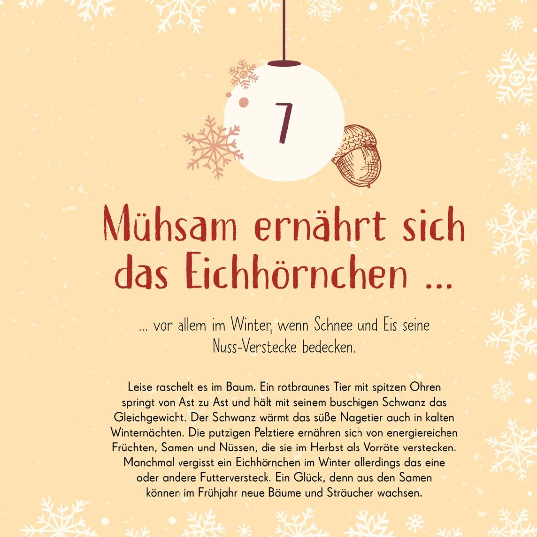 Wundervolle Welt. Adventskalender