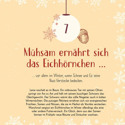 Wundervolle Welt. Adventskalender