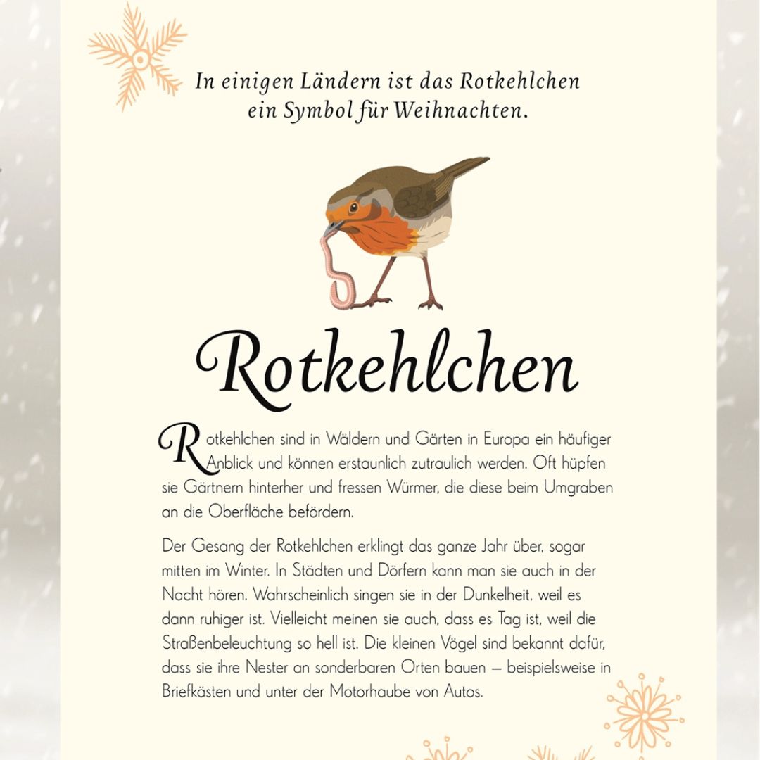 Wundervolle Welt der Vögel