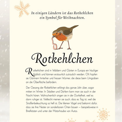 Wundervolle Welt der Vögel
