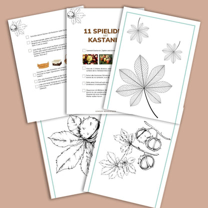 Herbst - Materialpaket (PDF)