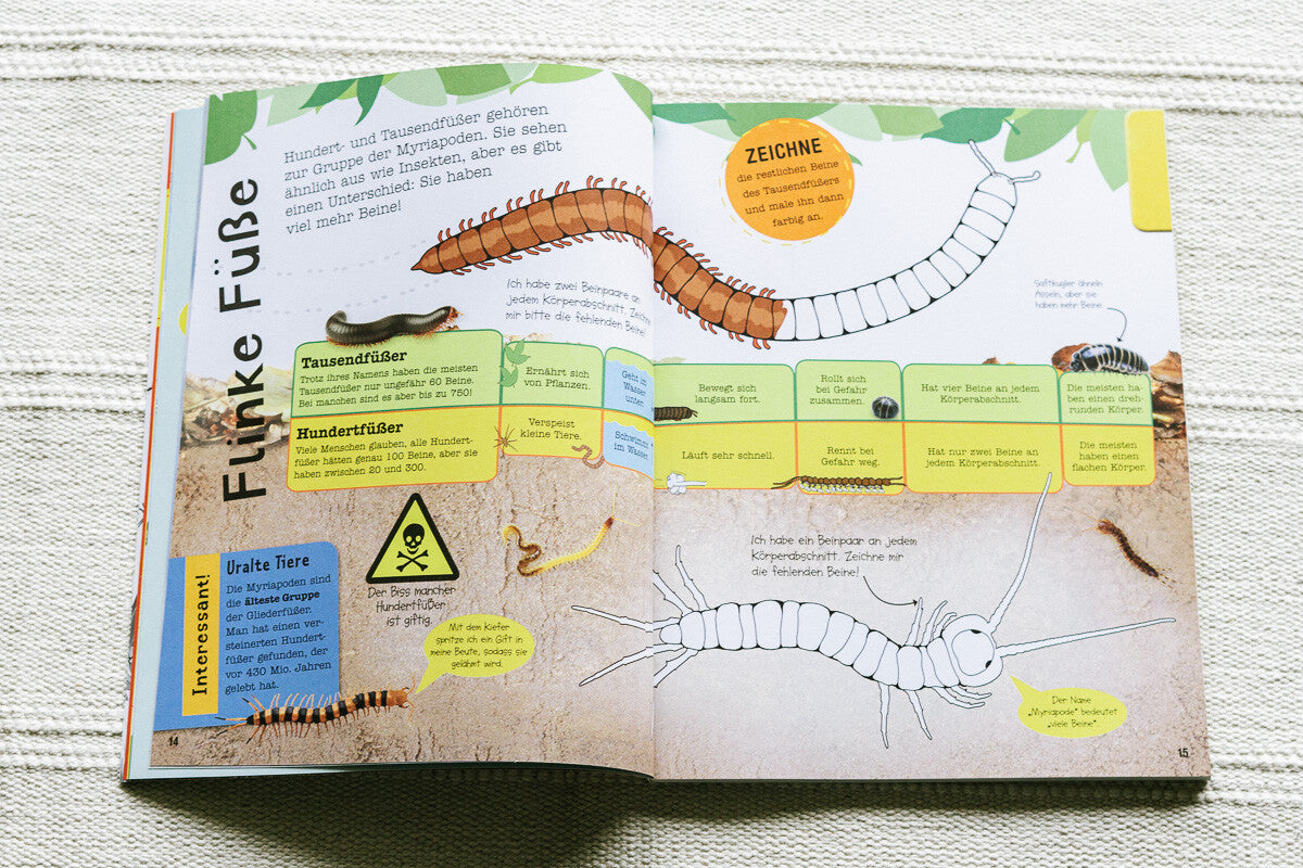 Das Mach-Malbuch Insekten