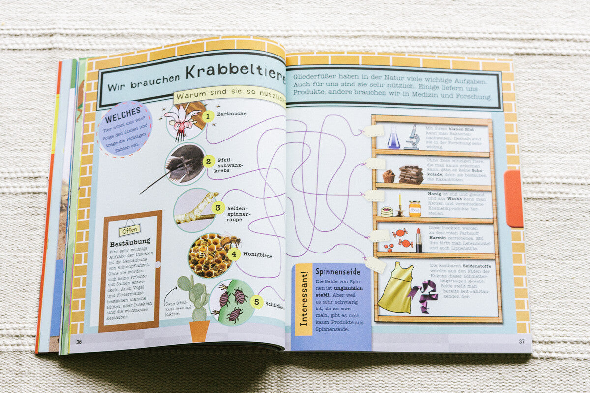 Das Mach-Malbuch Insekten